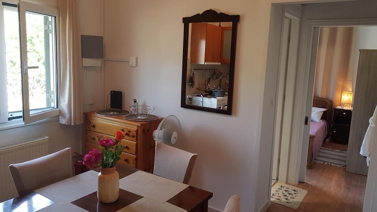 Olga'S Cozy Nest , Apartment In Ano Korakiana. 客房 照片