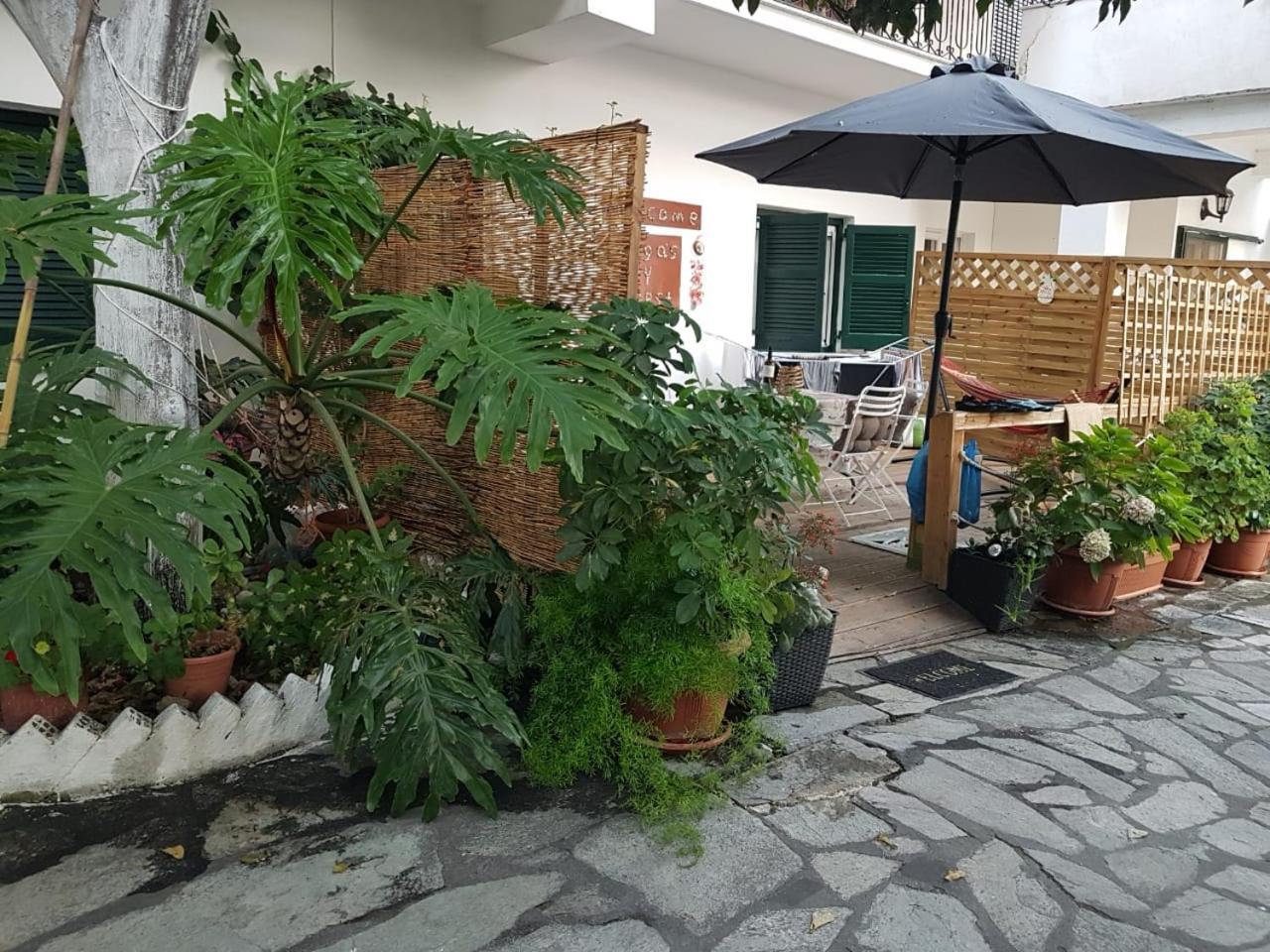 Olga'S Cozy Nest , Apartment In Ano Korakiana. 外观 照片
