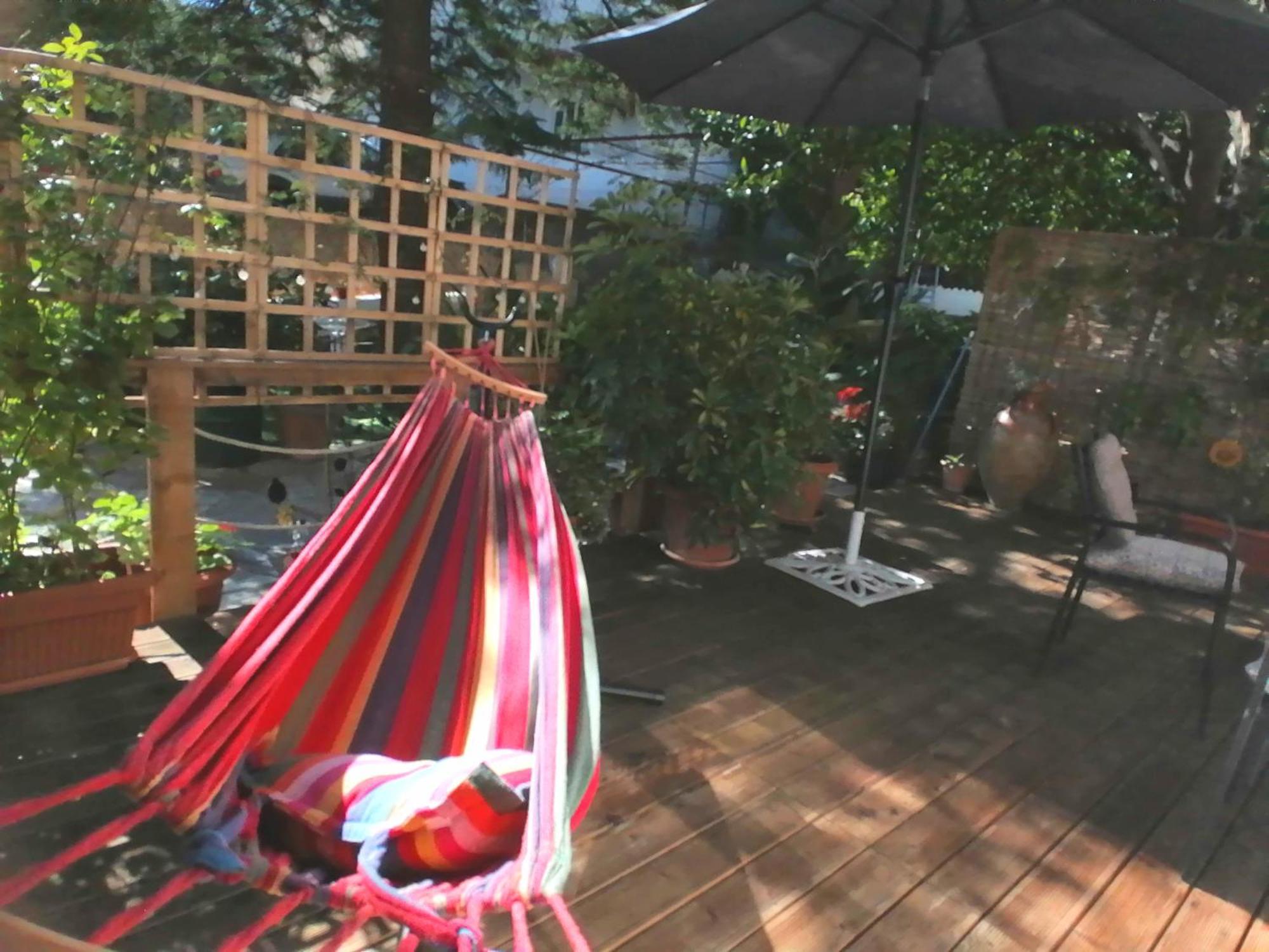 Olga'S Cozy Nest , Apartment In Ano Korakiana. 外观 照片