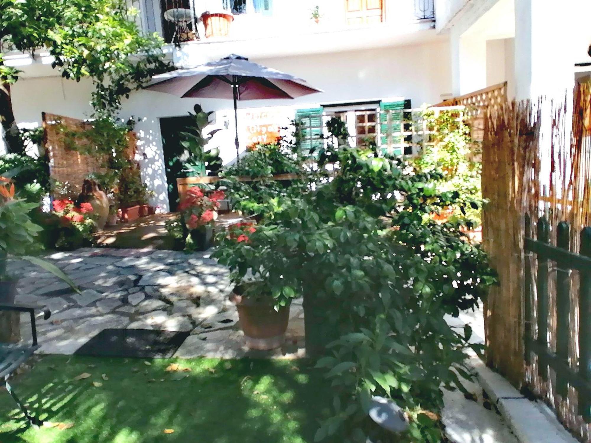 Olga'S Cozy Nest , Apartment In Ano Korakiana. 外观 照片