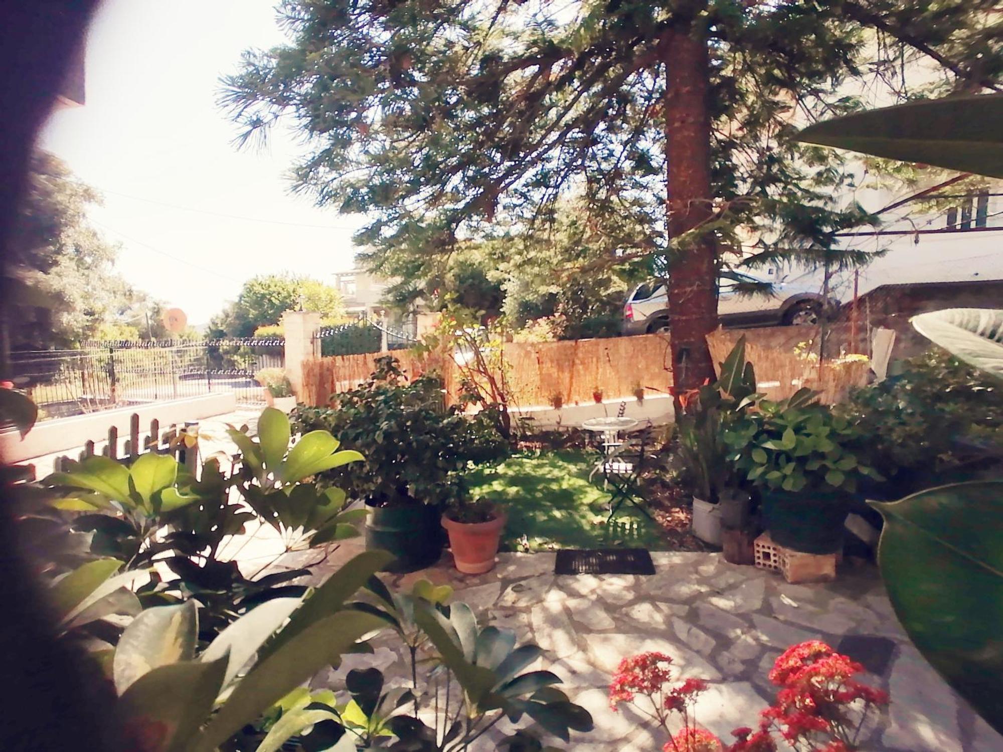 Olga'S Cozy Nest , Apartment In Ano Korakiana. 外观 照片