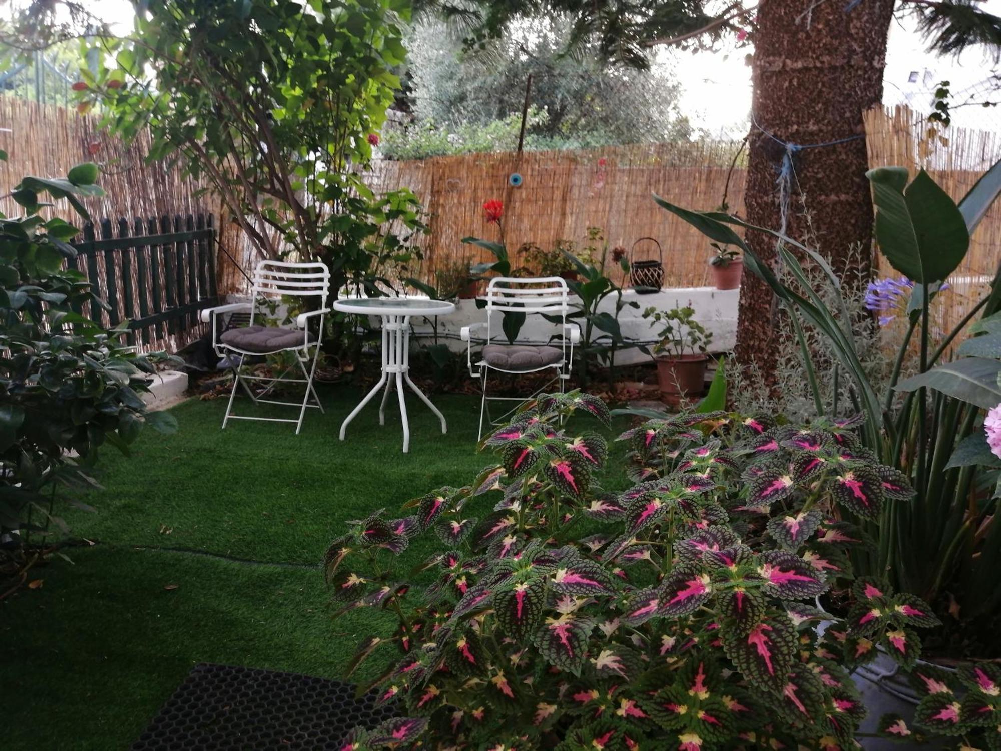 Olga'S Cozy Nest , Apartment In Ano Korakiana. 外观 照片